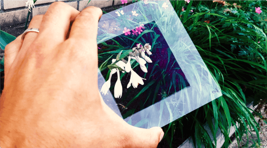 Applications-1-ed 1-1